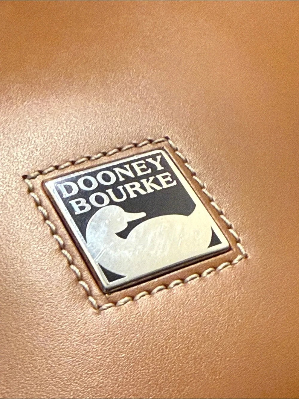 Dooney and Bourke Toiny Leather Backpack